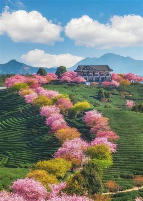 龍巖有哪些大型茶館