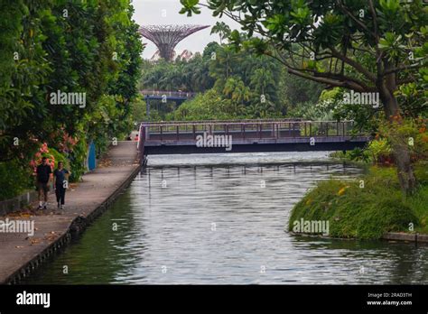 玉合公園緩步行 翠意盎然風景旖旎地隅憩